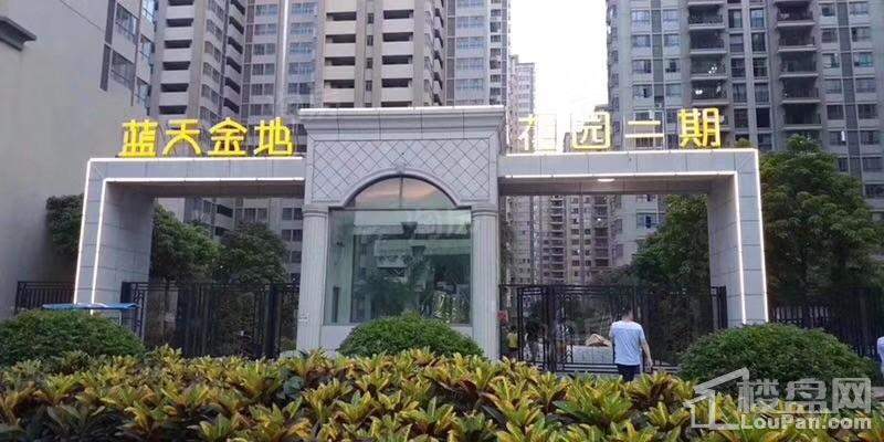 蓝天金地实景图