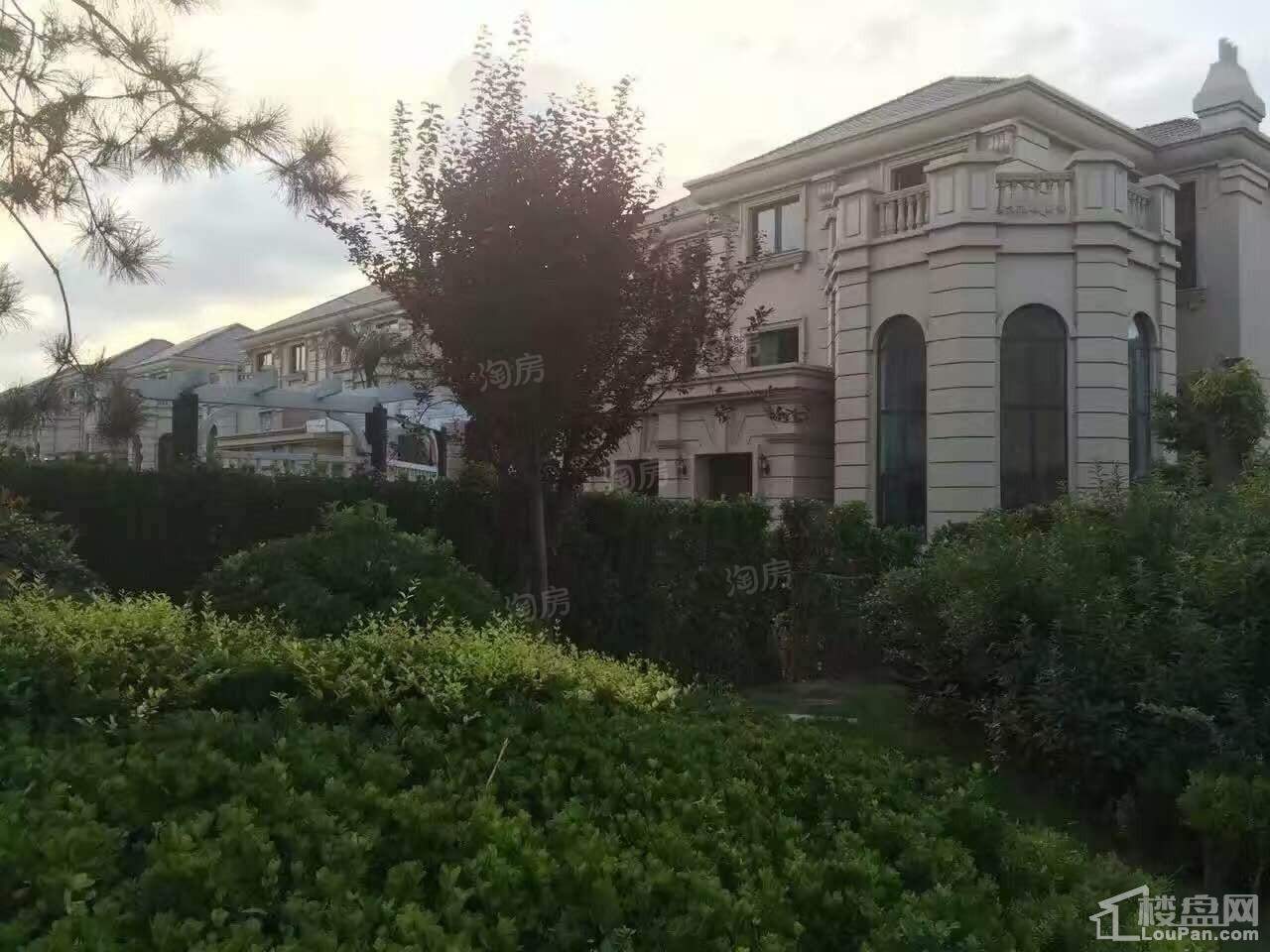 一品观园实景图