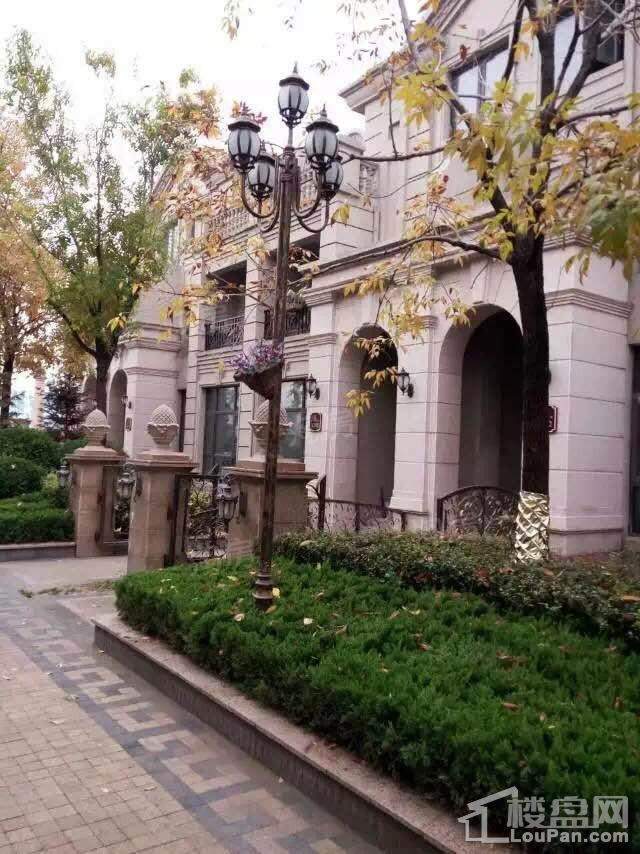 一品观园实景图