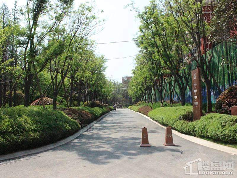 致远翡翠园实景图