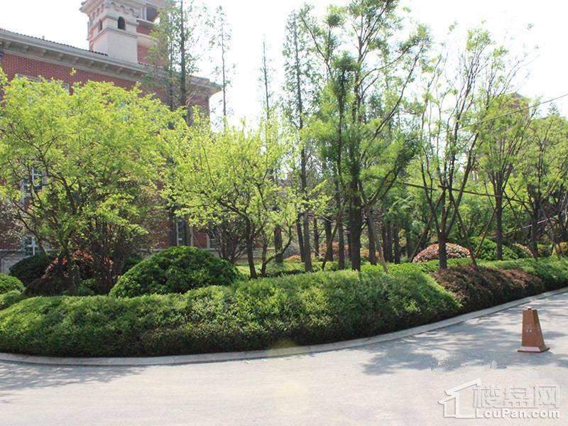 致远翡翠园实景图