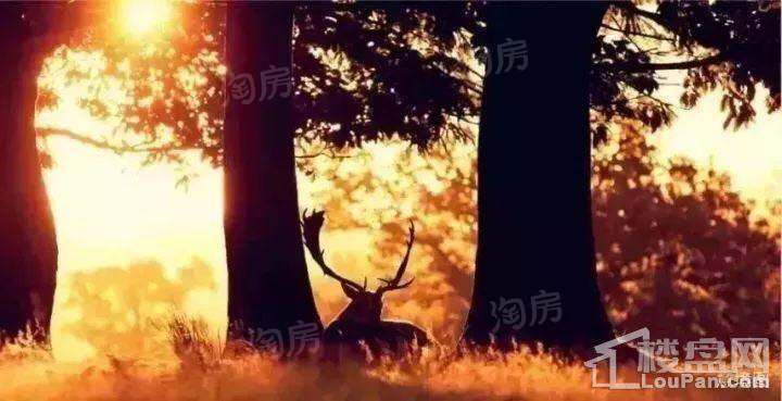 致远翡翠传奇效果图