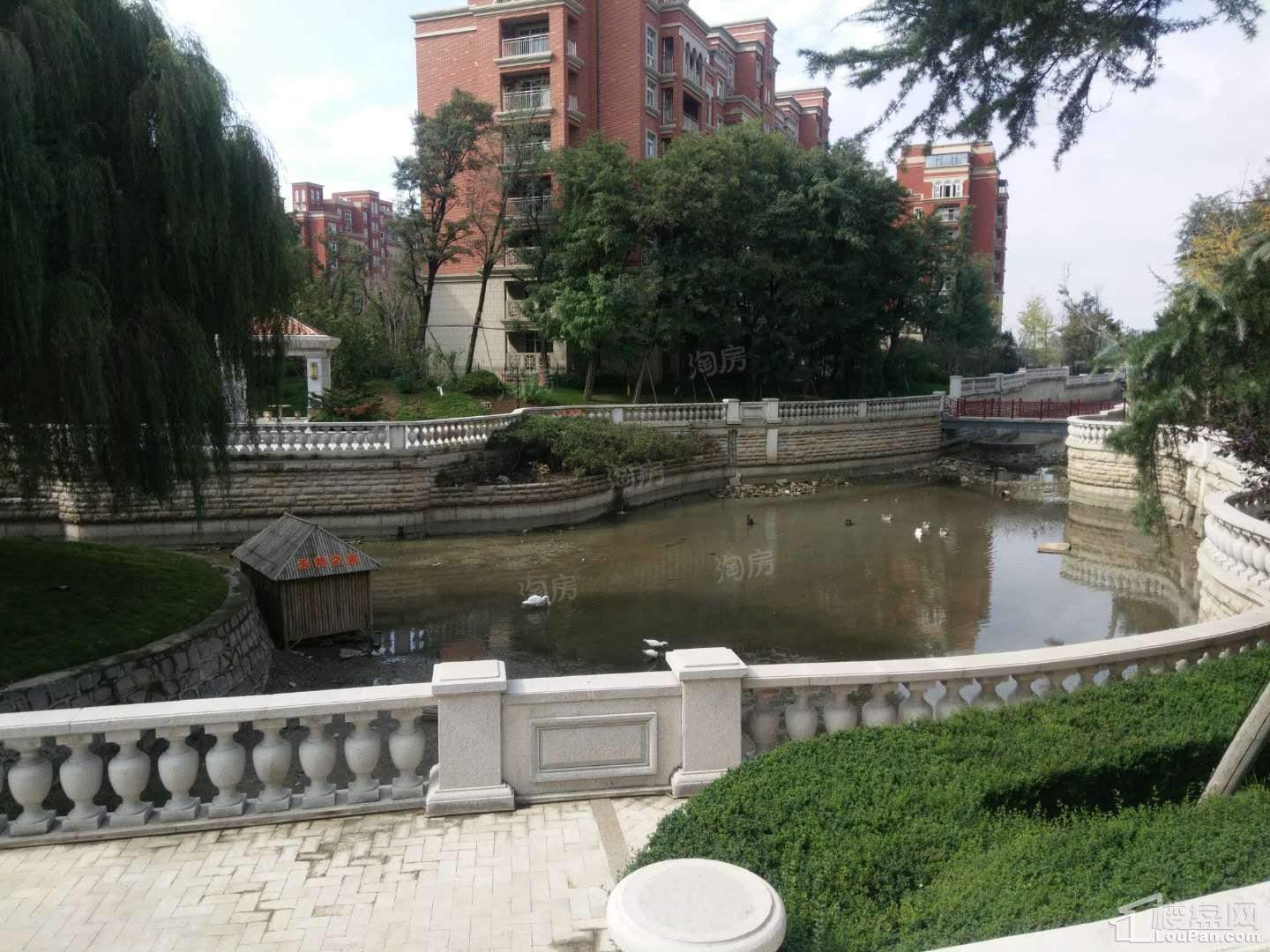 致远翡翠湖实景图
