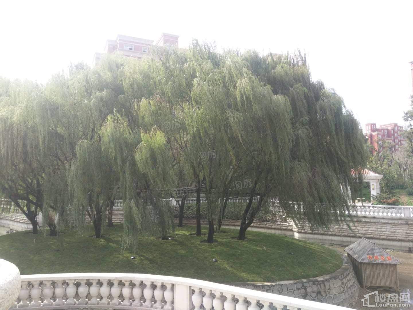 致远翡翠湖实景图