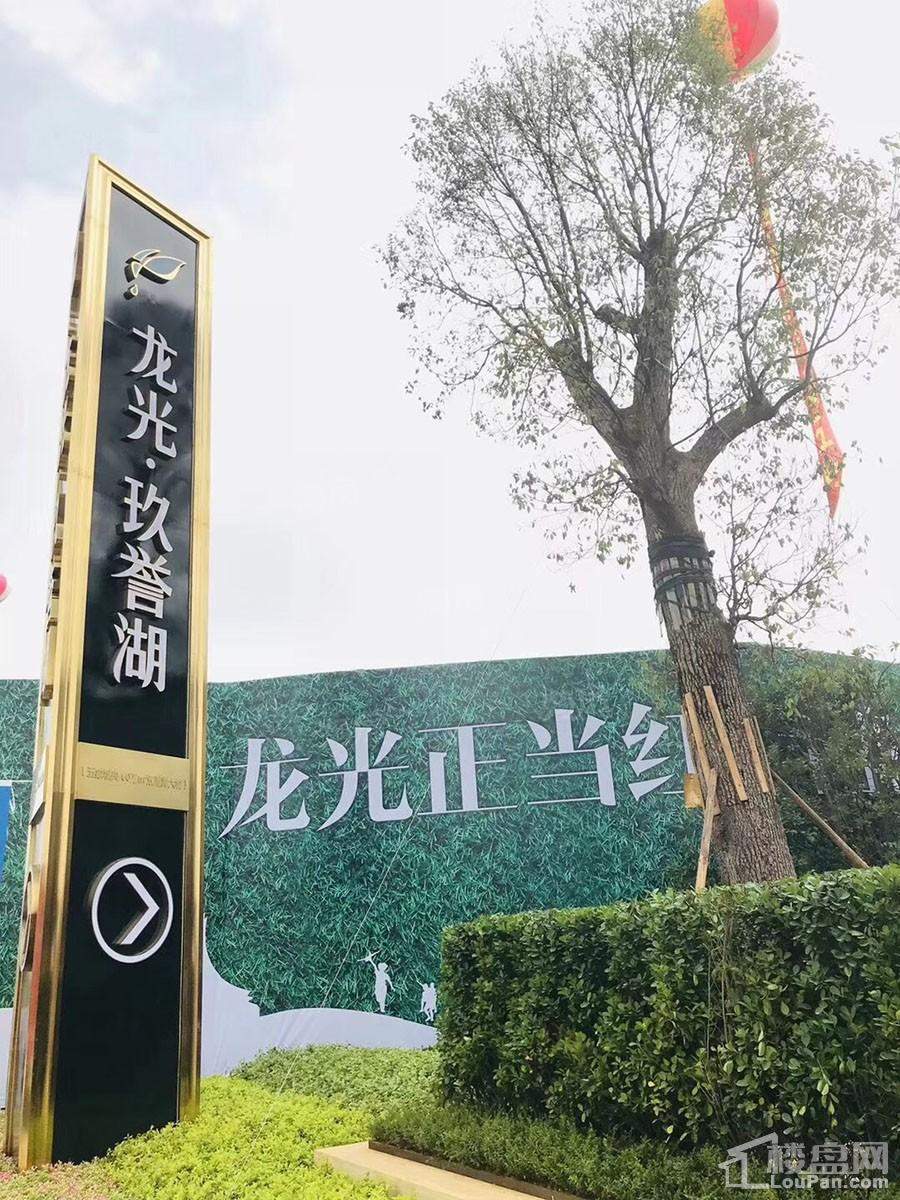 龙光玖誉湖实景图
