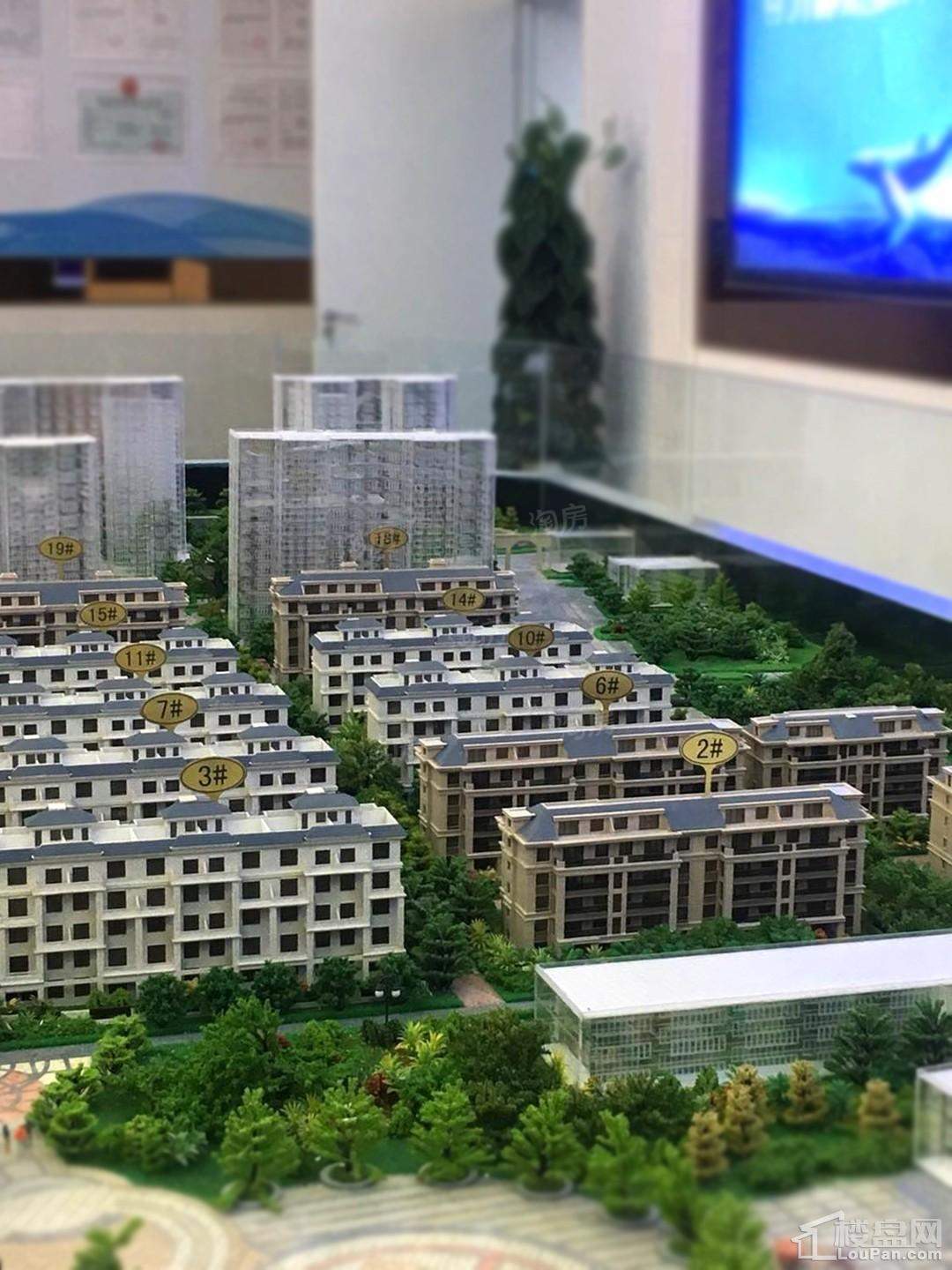 致远海上传奇实景图