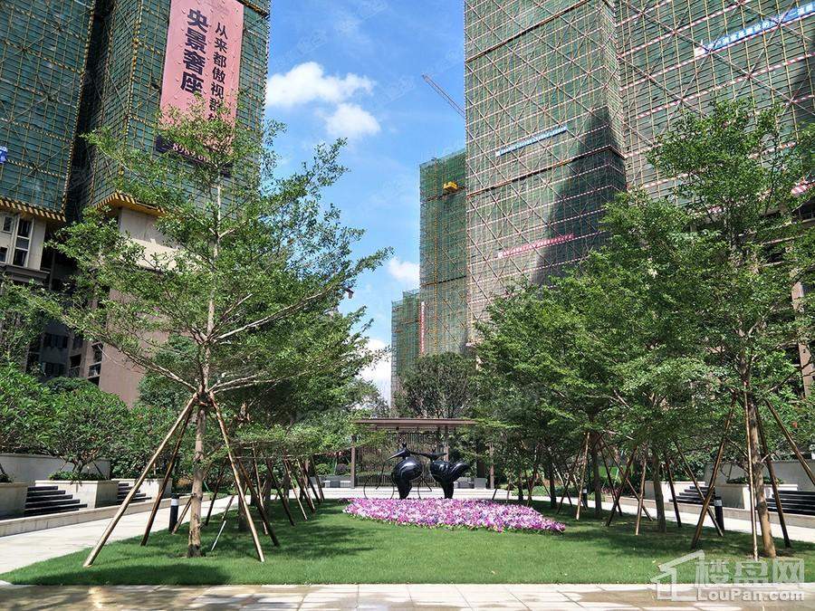 雅居乐剑桥郡实景图