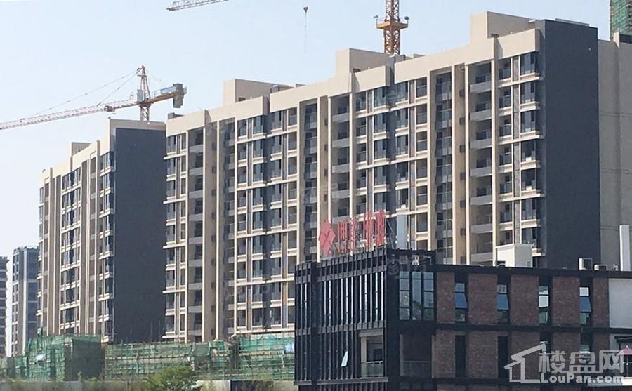 实景图