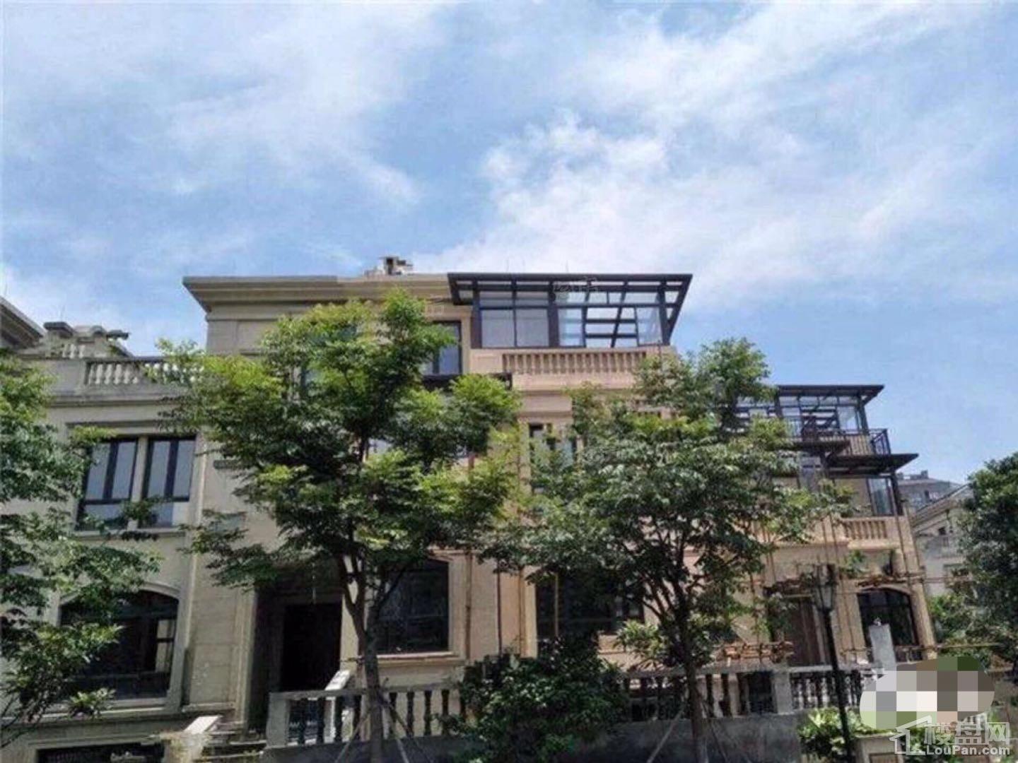 桃花源山庄实景图