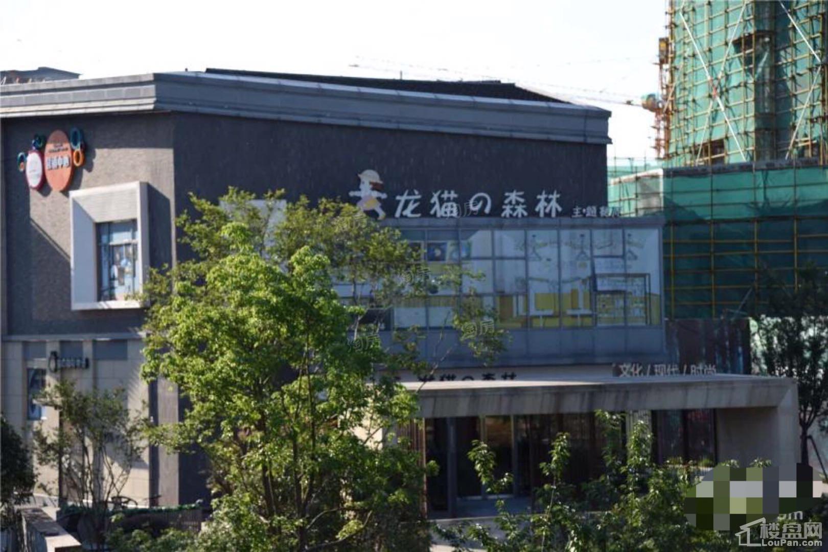 金地自在城—湖城大境位置图