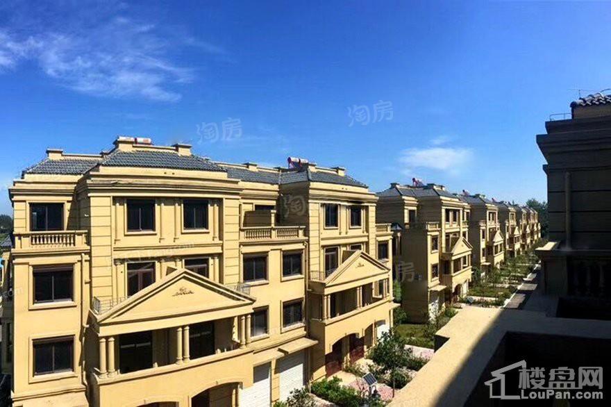 塞纳春天实景图
