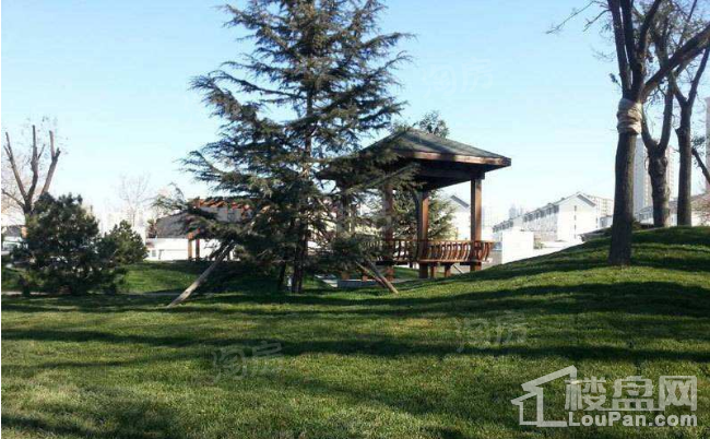 汤河庭院实景图