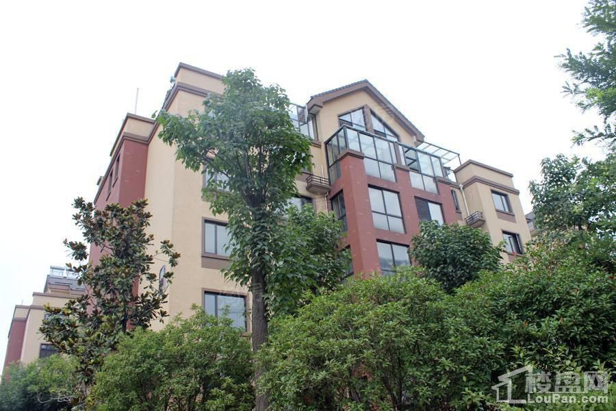 儒辰掌舵东岸实景图
