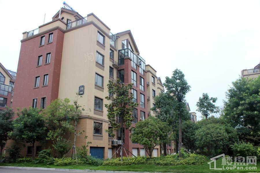 儒辰掌舵东岸实景图