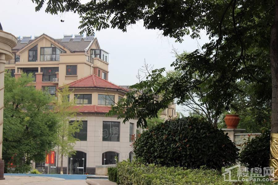 儒辰掌舵东岸实景图