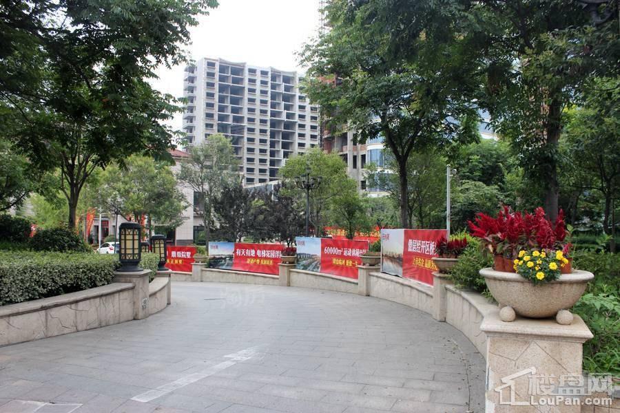 儒辰掌舵东岸实景图