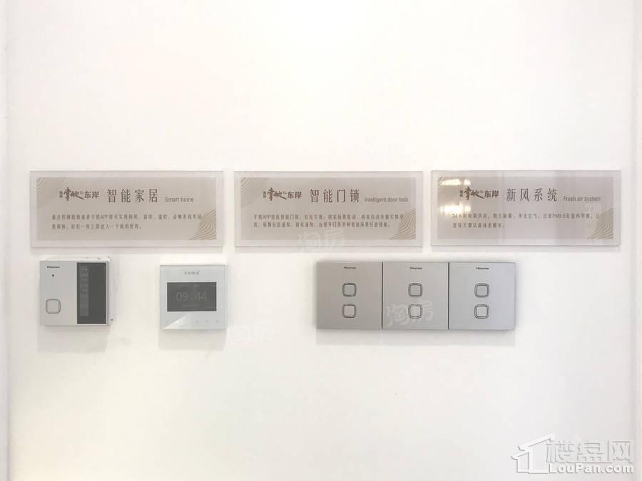 儒辰掌舵东岸样板间