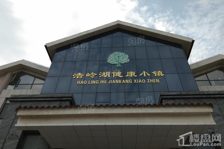 浩岭湖健康小镇实景图