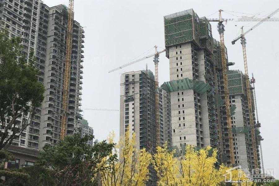 恒大翡翠华庭实景图
