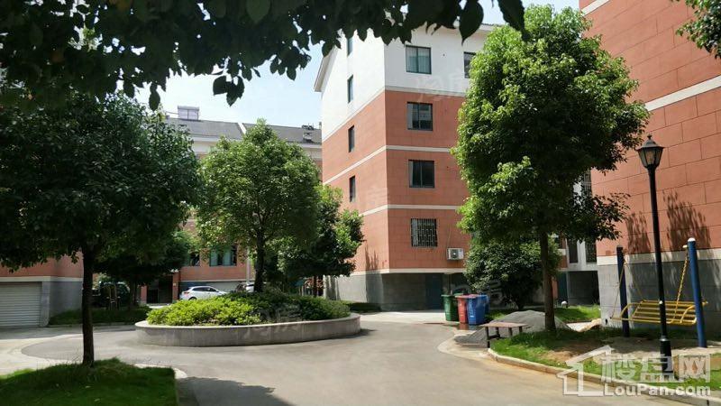 鸿森苑实景图