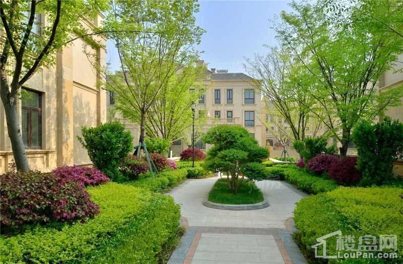 白鹭金岸效果图