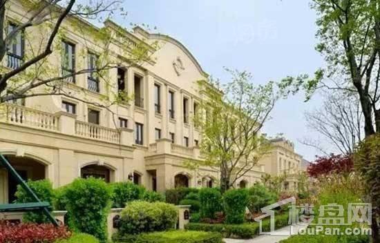 白鹭金岸实景图