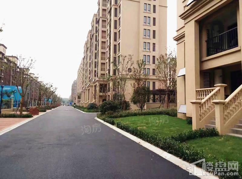 白鹭金岸实景图