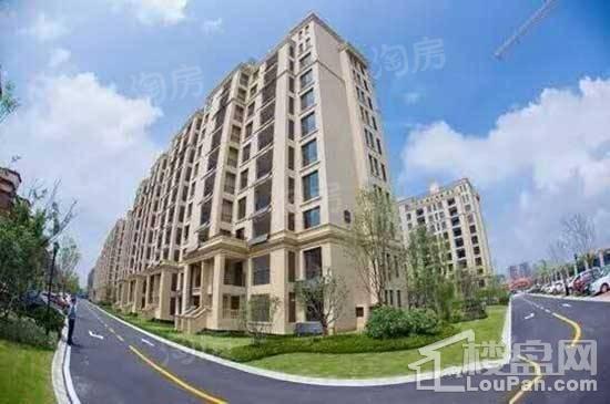 白鹭金岸实景图