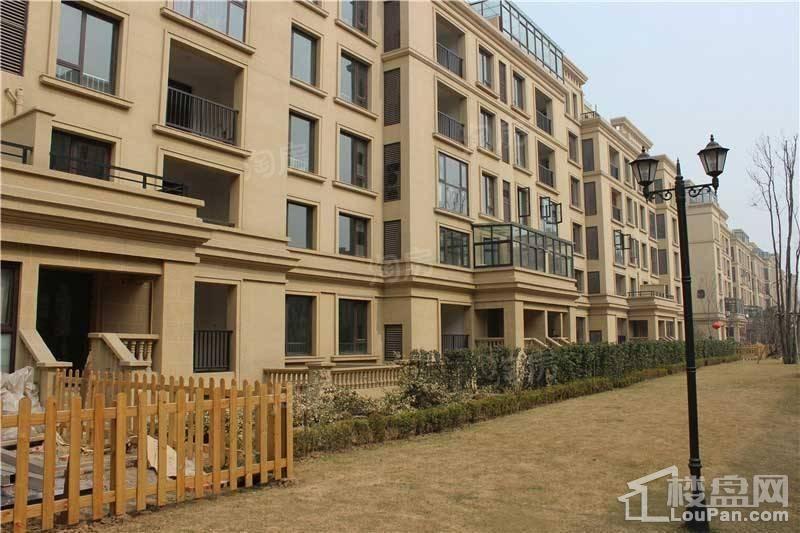 白鹭金岸实景图