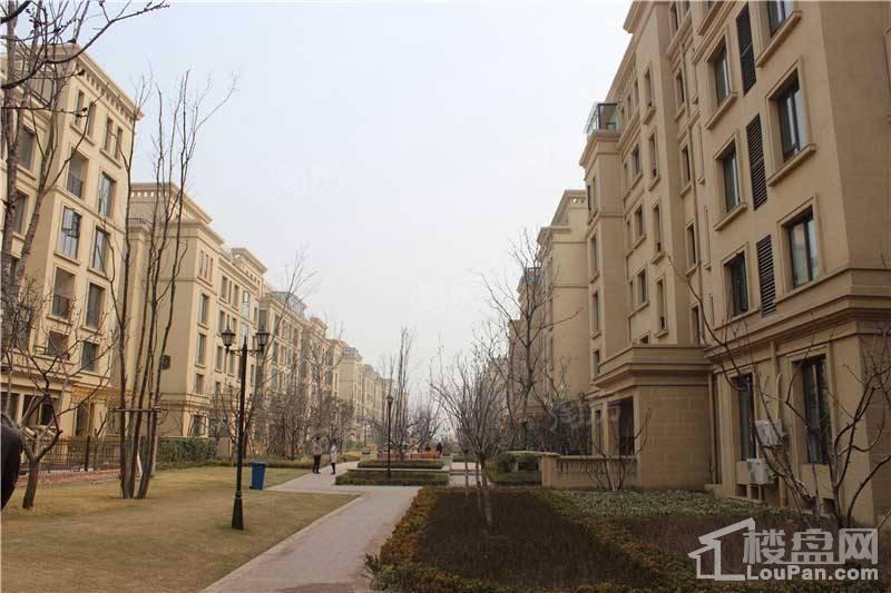 白鹭金岸实景图