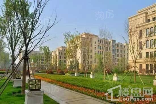 白鹭金岸实景图