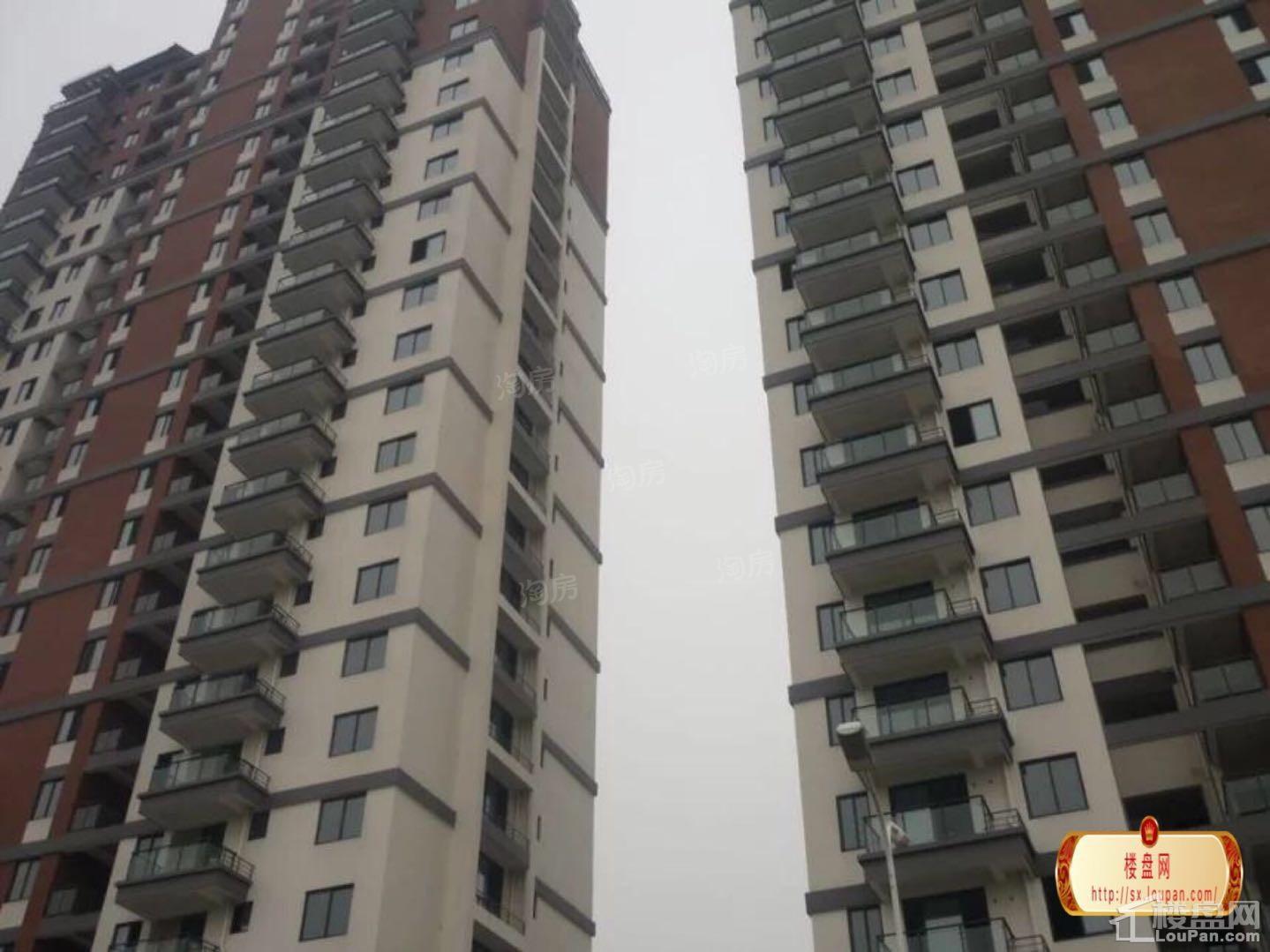 实景图