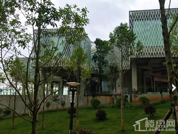 碧桂园璟台实景图