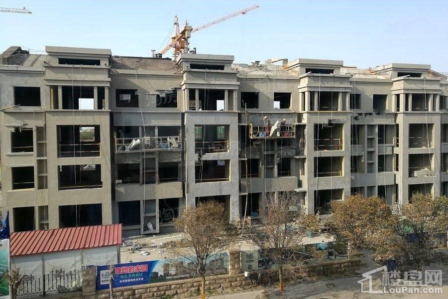 实景图