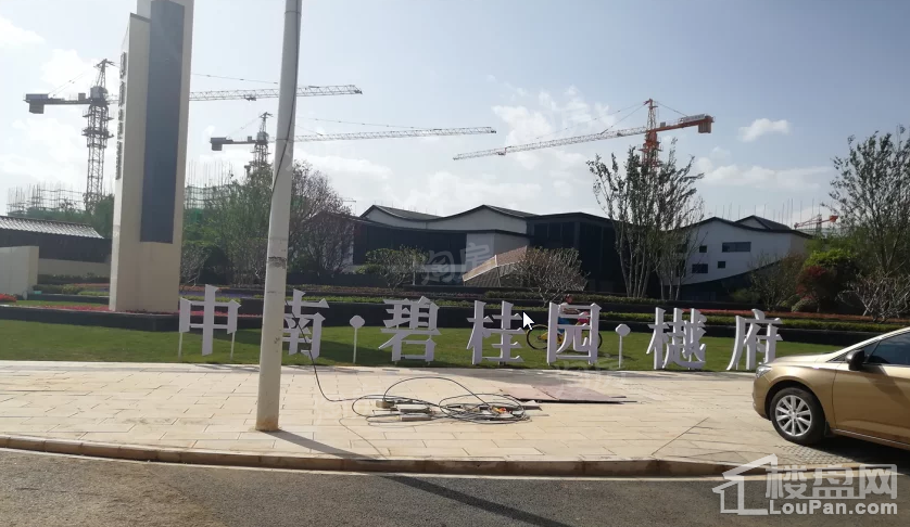 实景图