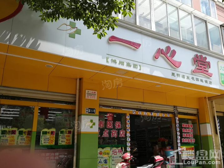中南碧桂园樾府配套图