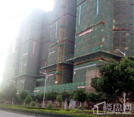 实景图