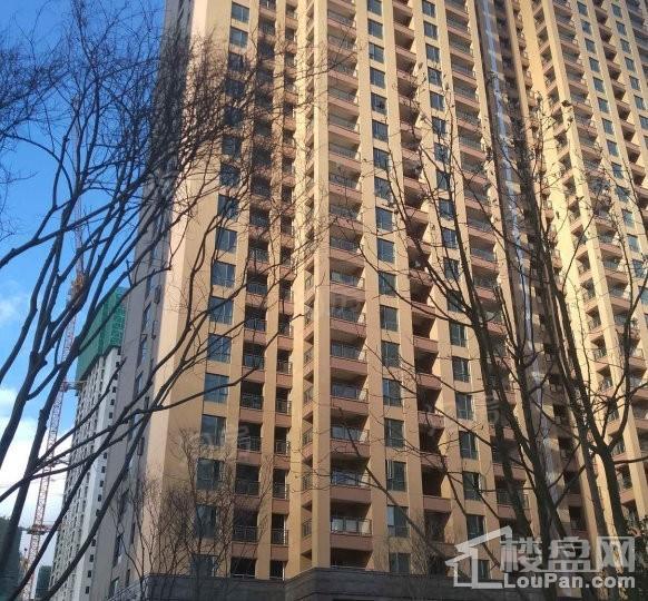 俊发·观云海效果图
