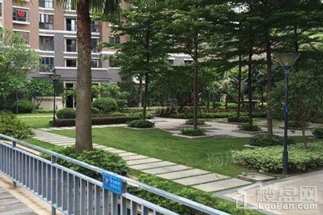 蓝天金地实景图