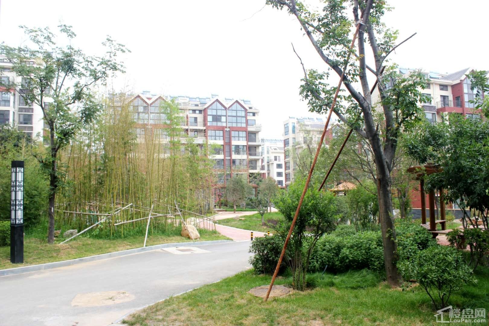 紫郡山水逸景实景图