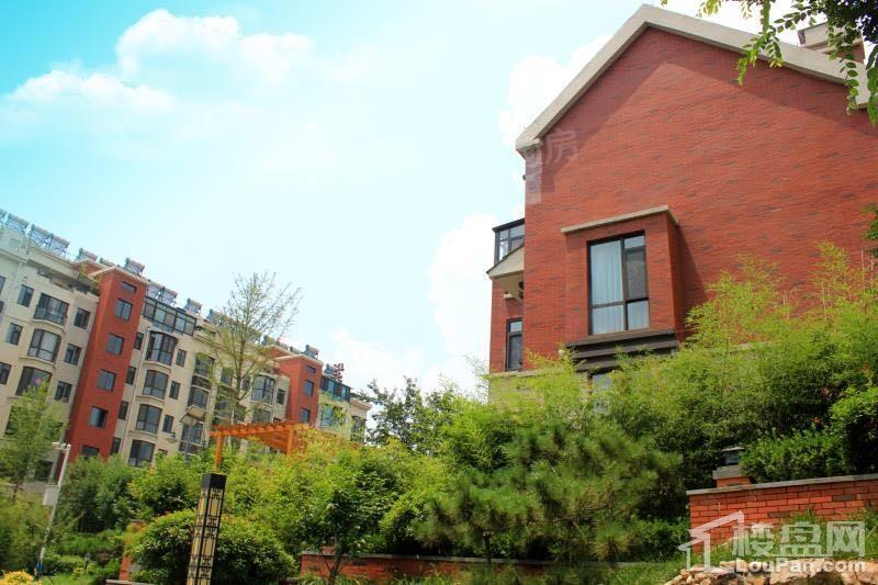 紫郡山水逸景实景图