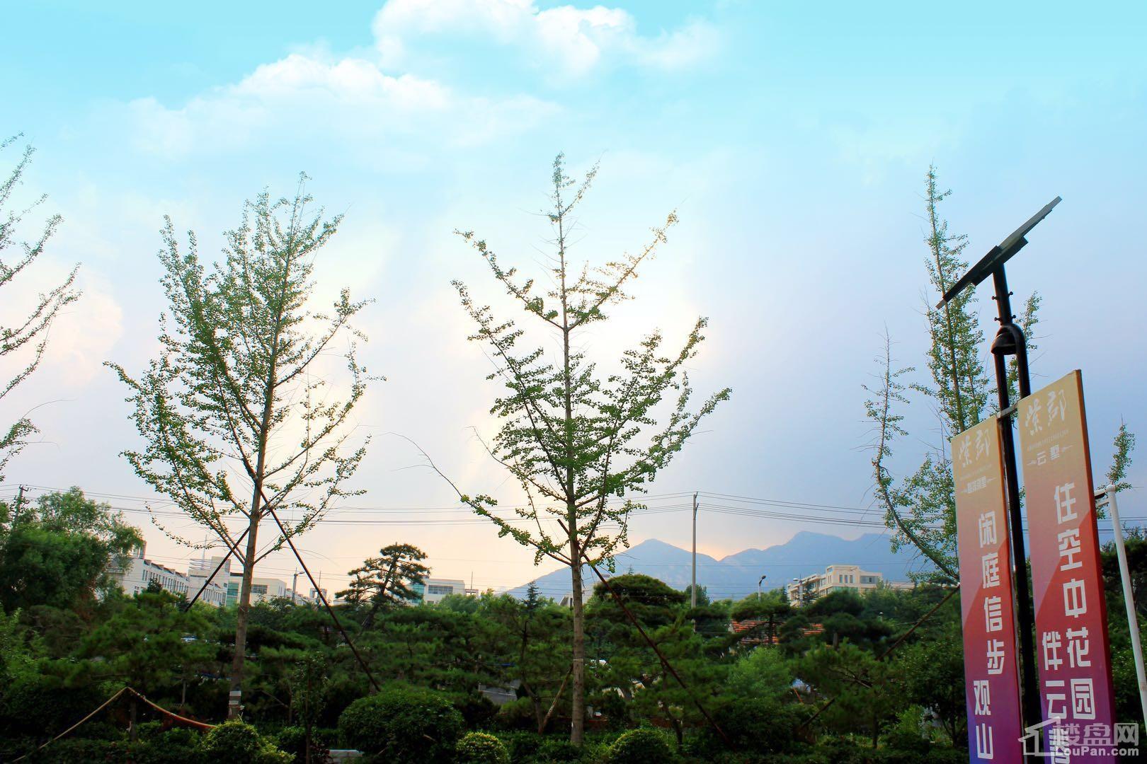 紫郡山水逸景实景图