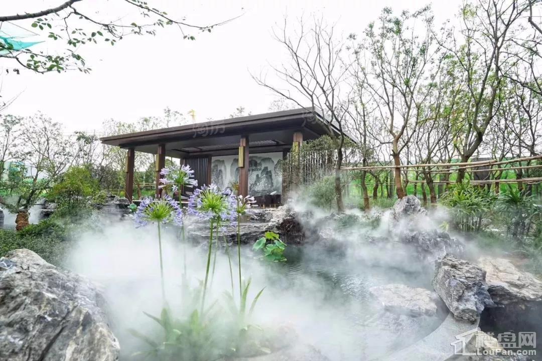 御西湖实景图
