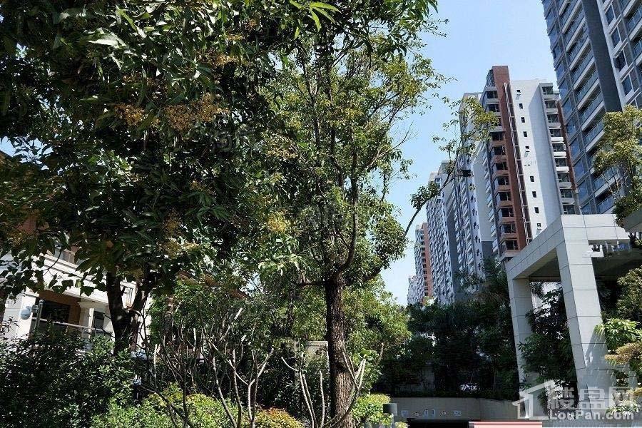 德宝怡高实景图