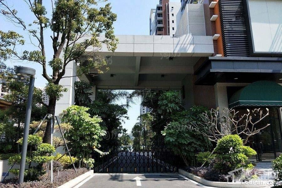 实景图