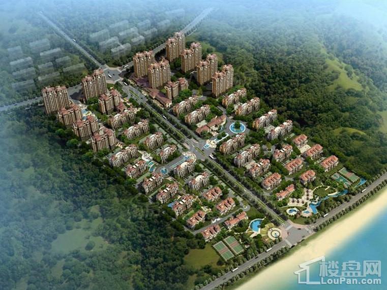 实景图