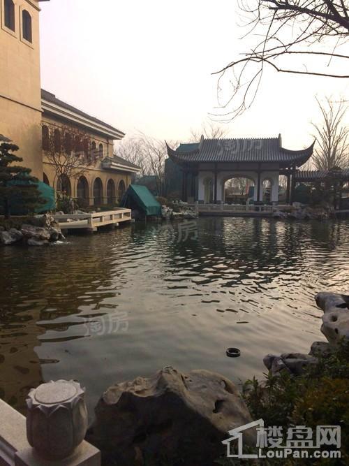 实景图