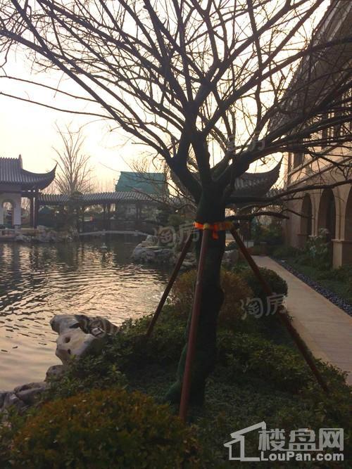 亲和家源实景图