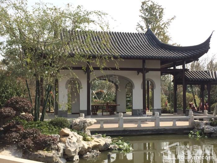 亲和家源实景图