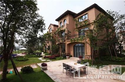 碧桂园龙腾世家实景图